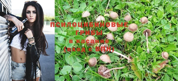 гидра Сосновоборск