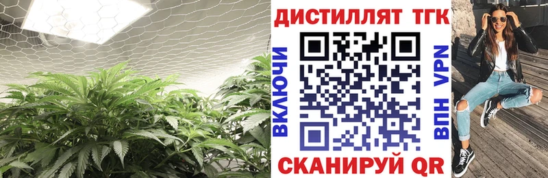 ТГК концентрат купить закладку Чегем